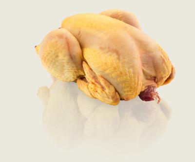 Maishuhn, Poulet Maïs Fermier