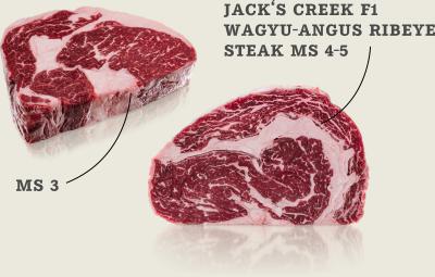 Jack’s Creek F1 Wagyu-Angus Ribeye Paket MS3 und MS4-5